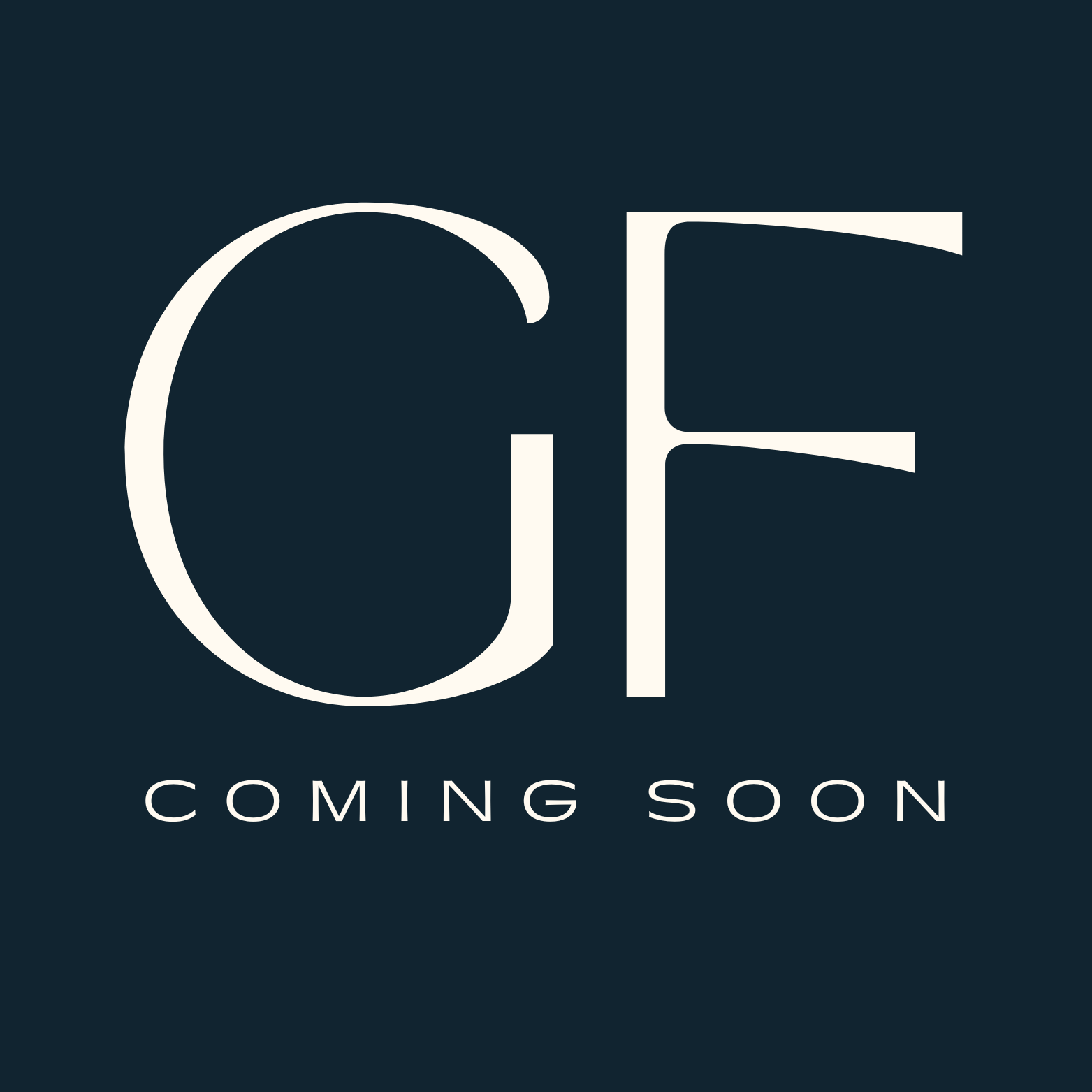 Tokyo Pipe Co Douglass Neo Type II Lighter - Brass