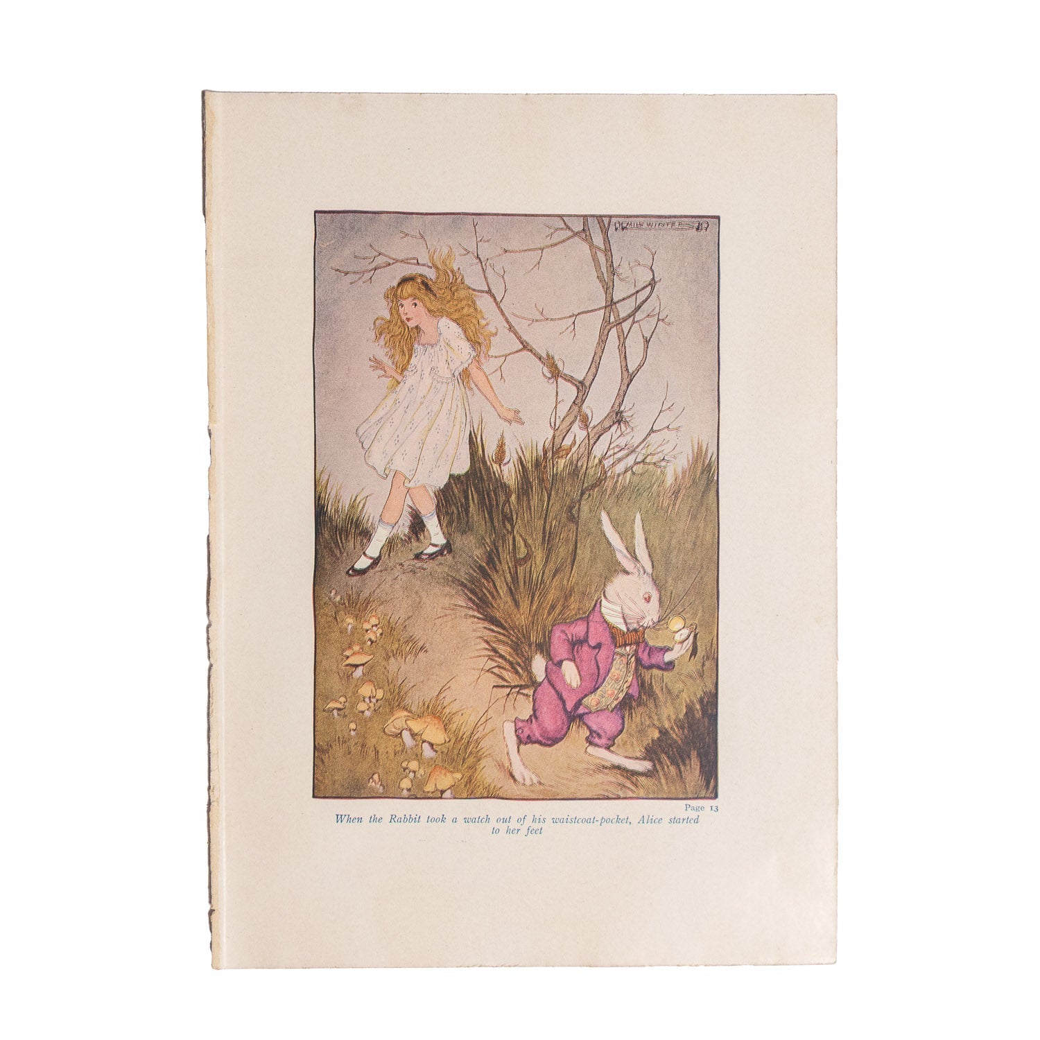 Alice in Wonderland (1916 Windermere Series) - Color Plates - Color Plates | Gladfellow