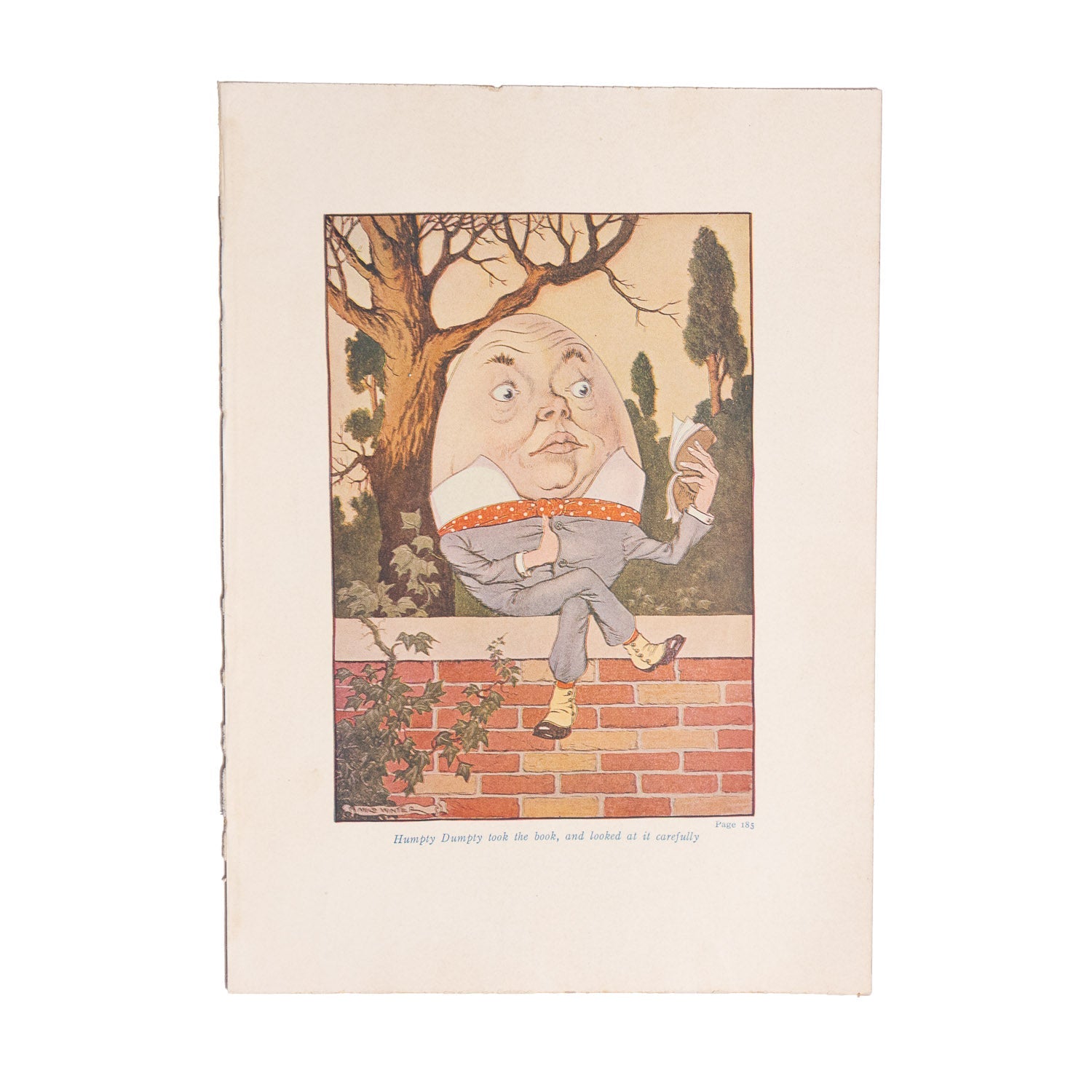 Alice in Wonderland (1916 Windermere Series) - Color Plates - Color Plates | Gladfellow