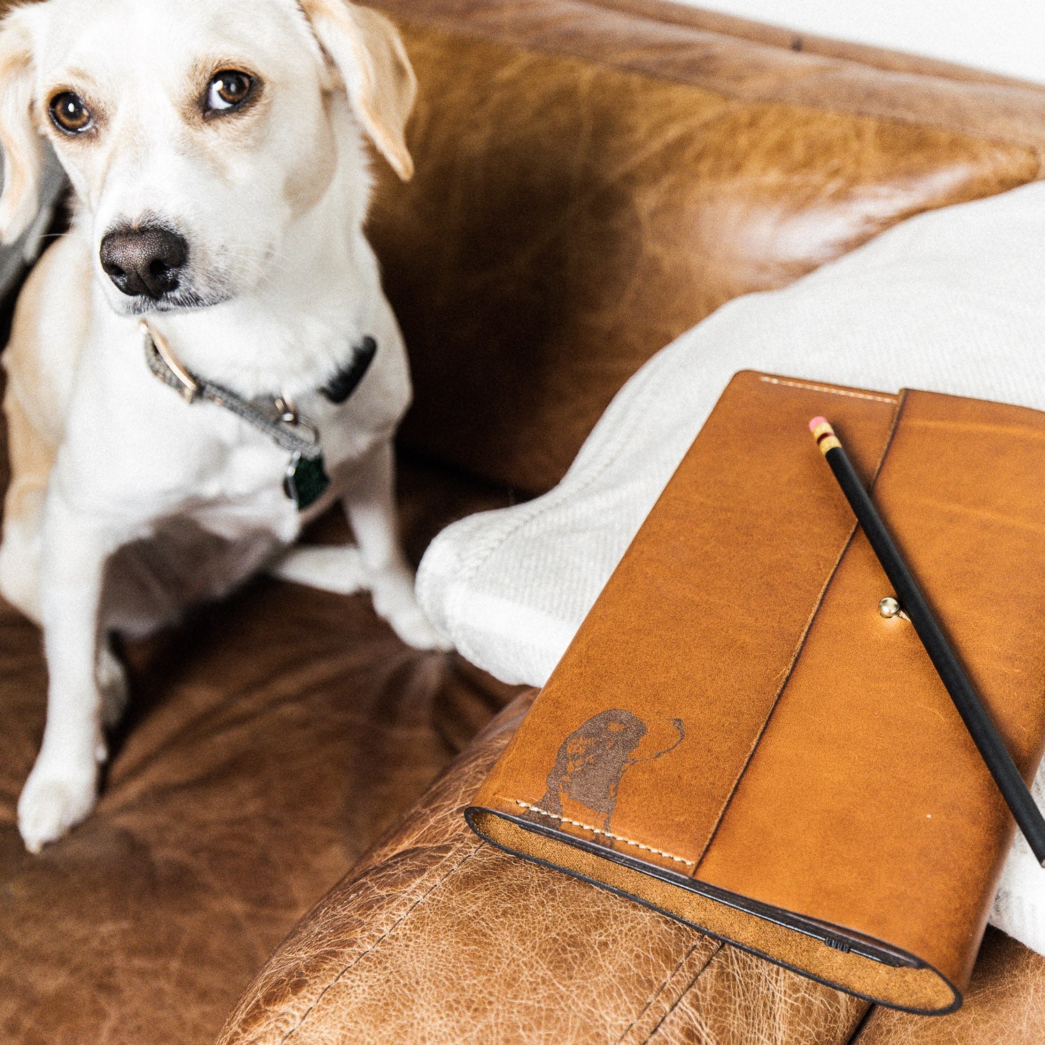 Tactile Craftworks Man's Best Friend Journal - GLADFELLOW Collaboration