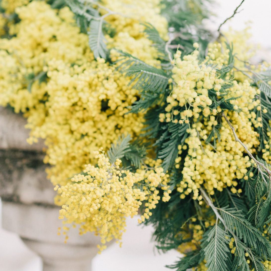 TOKYO KODO First Collection Incense - Incense | Gladfellow