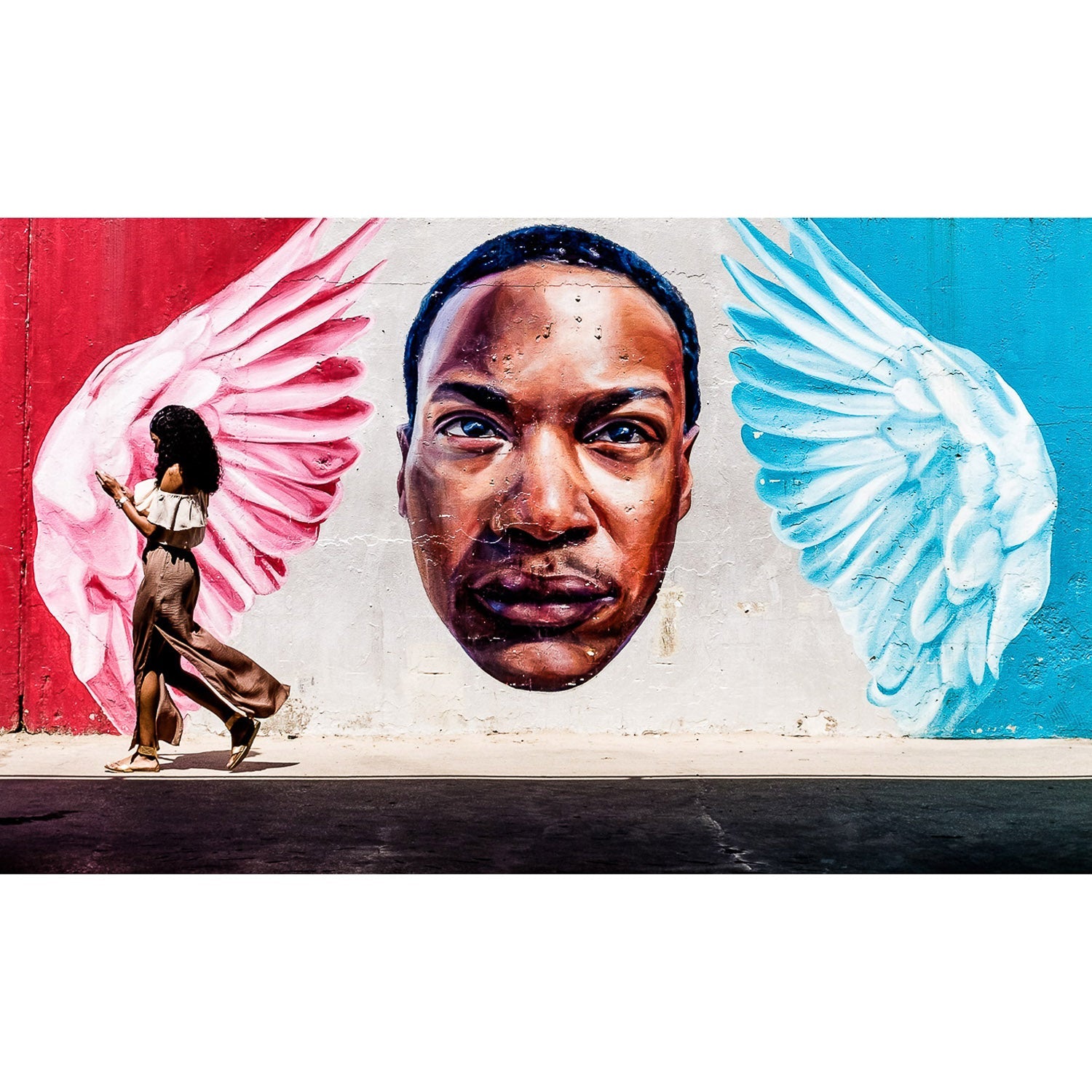 The Wings - Photograph - Gladfellow